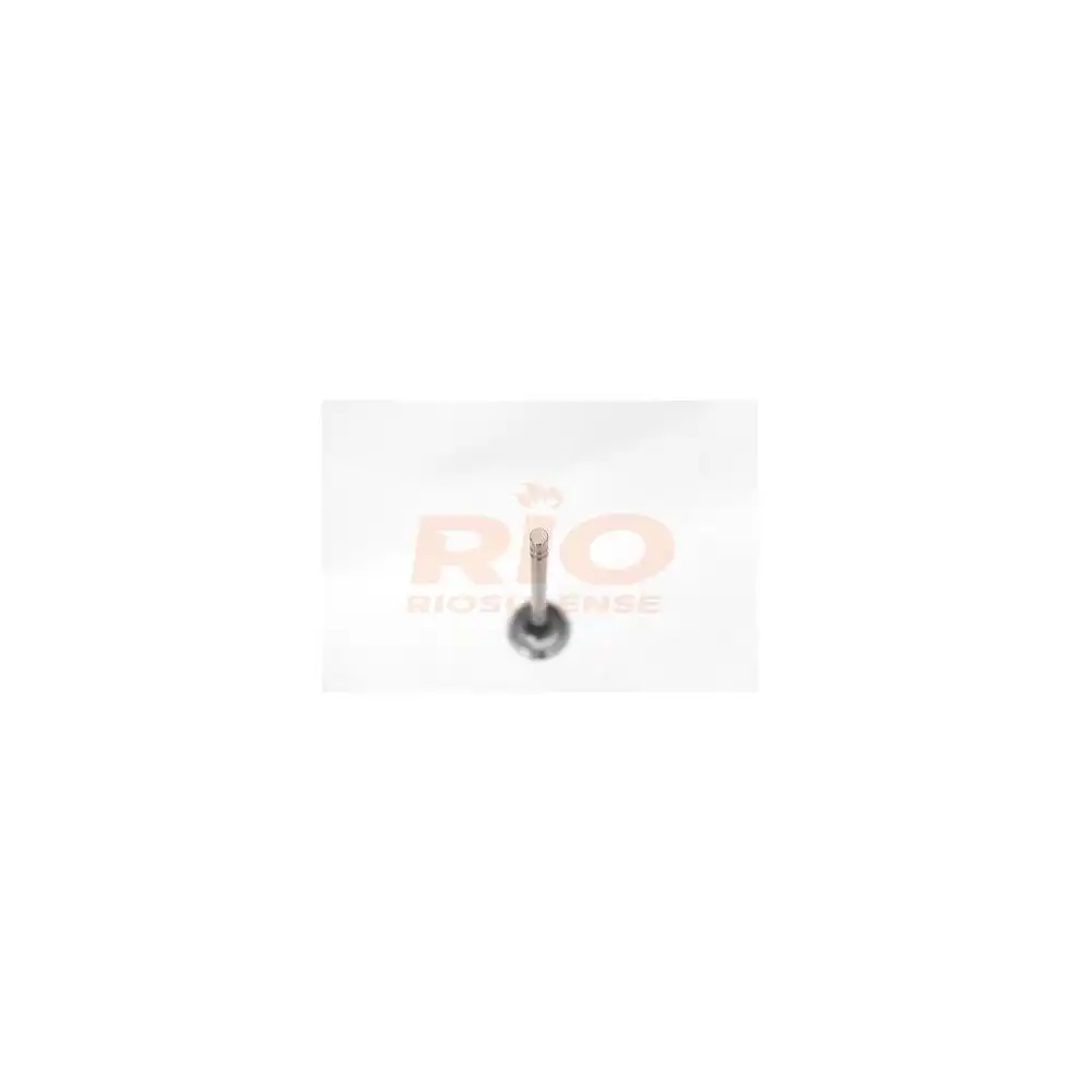 VALVULA ESCAPE OPALA C-10 VERANEIO 6CIL (261)