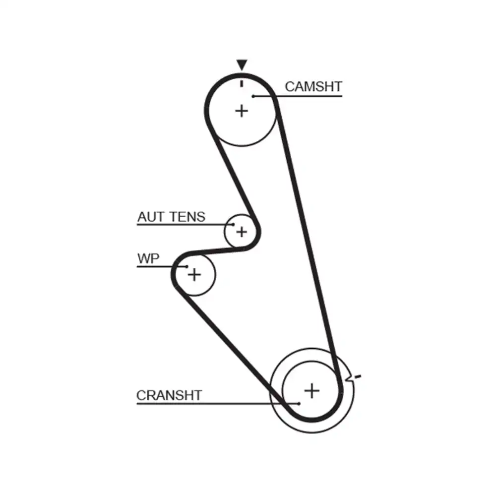 CORREIA COM MONZA 89/95 125SP200
