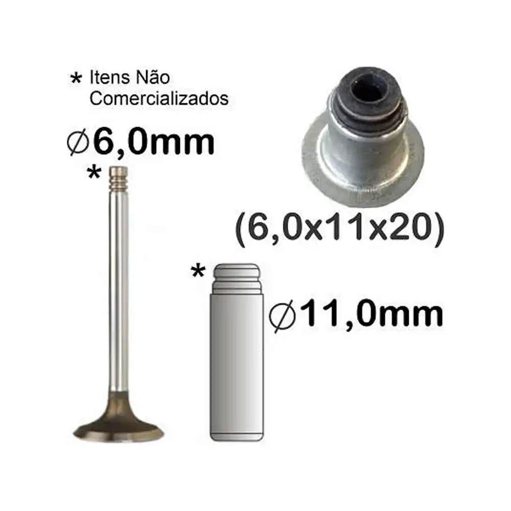 RETENTOR VALVULA RENAULT CLIO 1.0 8V C/CHAPEU