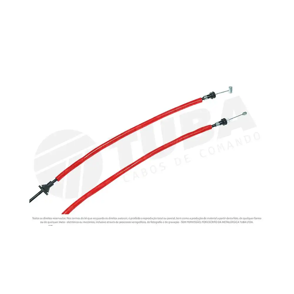 CABO CAPO ESCORT 97/