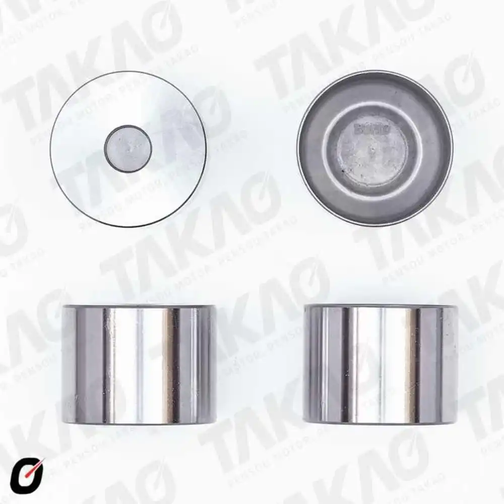 TUCHO MOTOR RENAULT CLIO LAGUNA MEGANE SCENIC 2.0 8V (F3R)