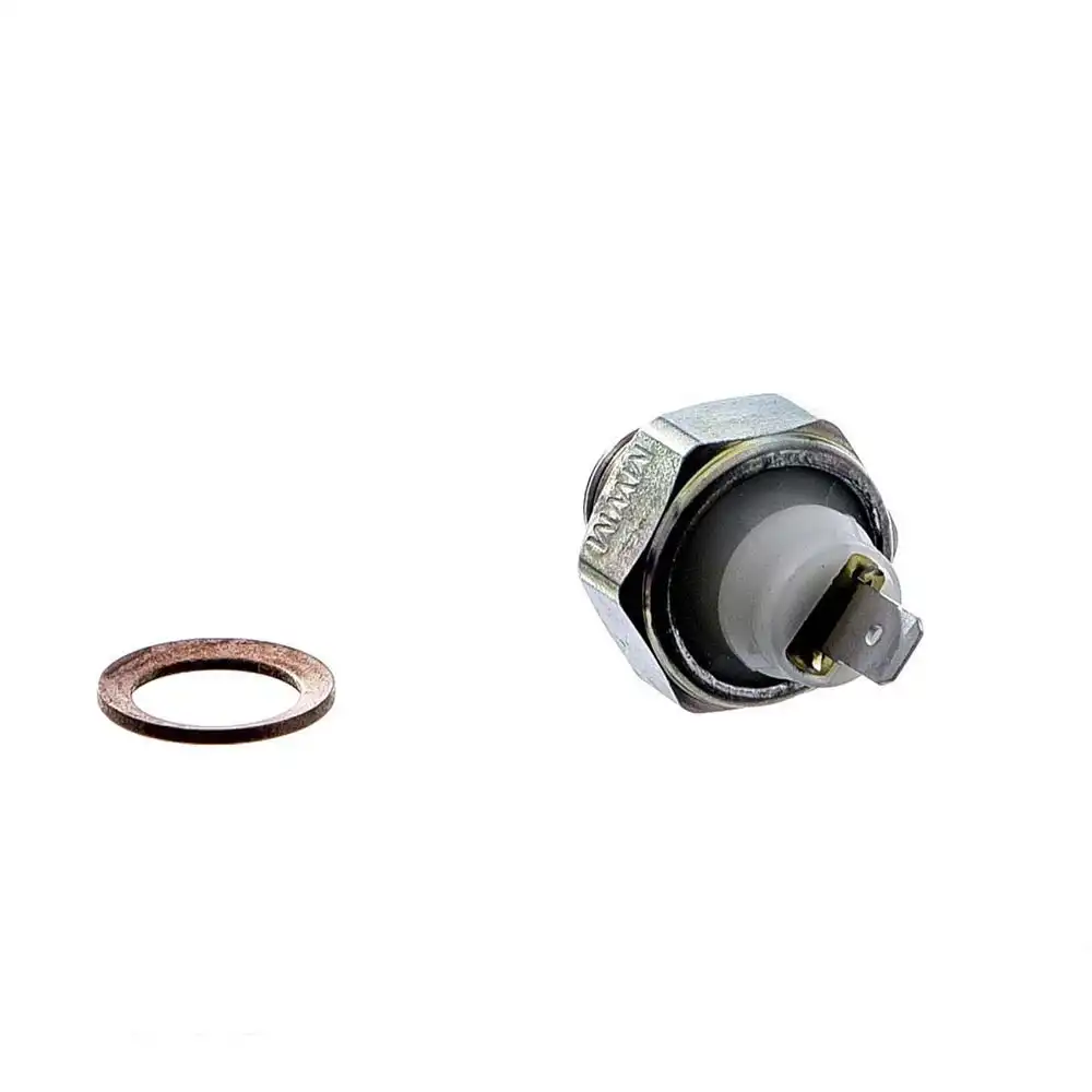 INTER OLEO S-10 2.8 2003/ (MOTOR MWM)