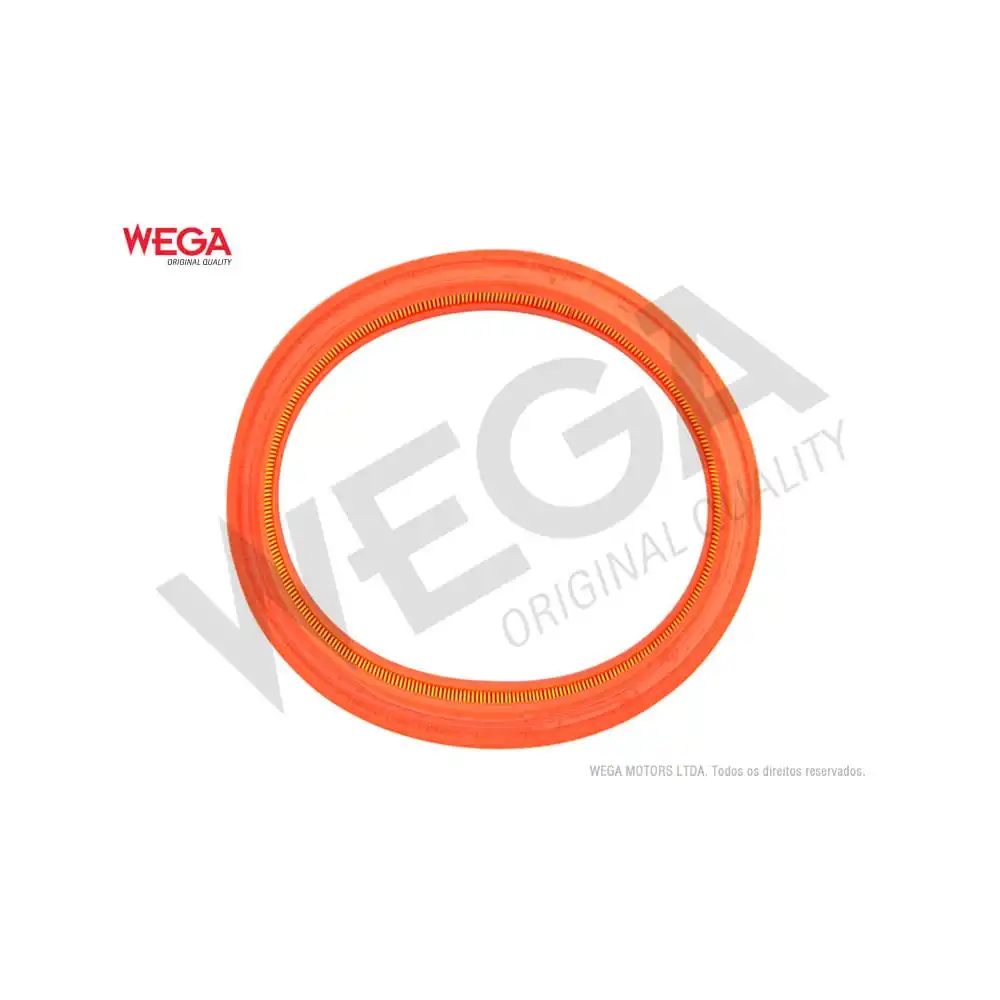 FILTRO AR MOTOR FIESTA 1.0 8V 1996 A 1999