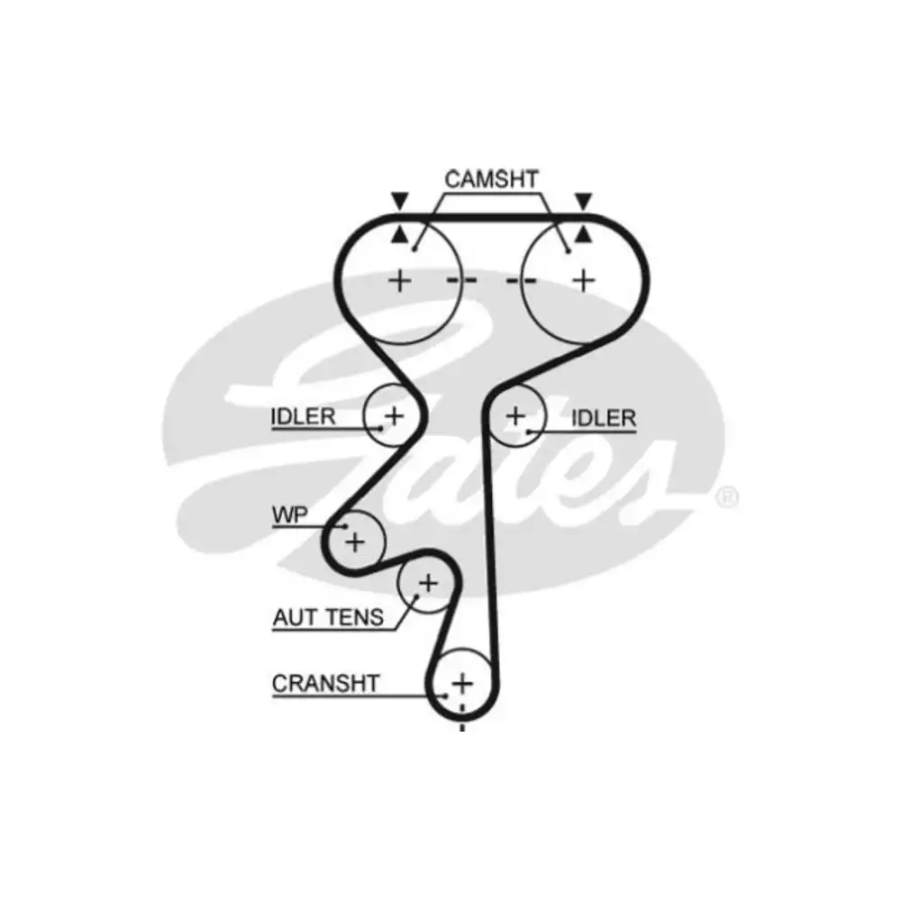 CORREIA COM VECTRA 2.2 97/ 16V VECTRA 2.4