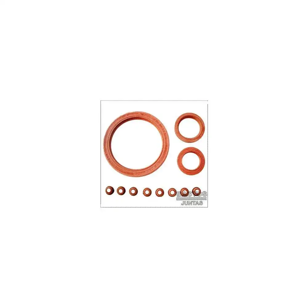 RETENTOR VALVULA RENAULT SCENIC CLIO MEGANE 1.6 8V (KIT)