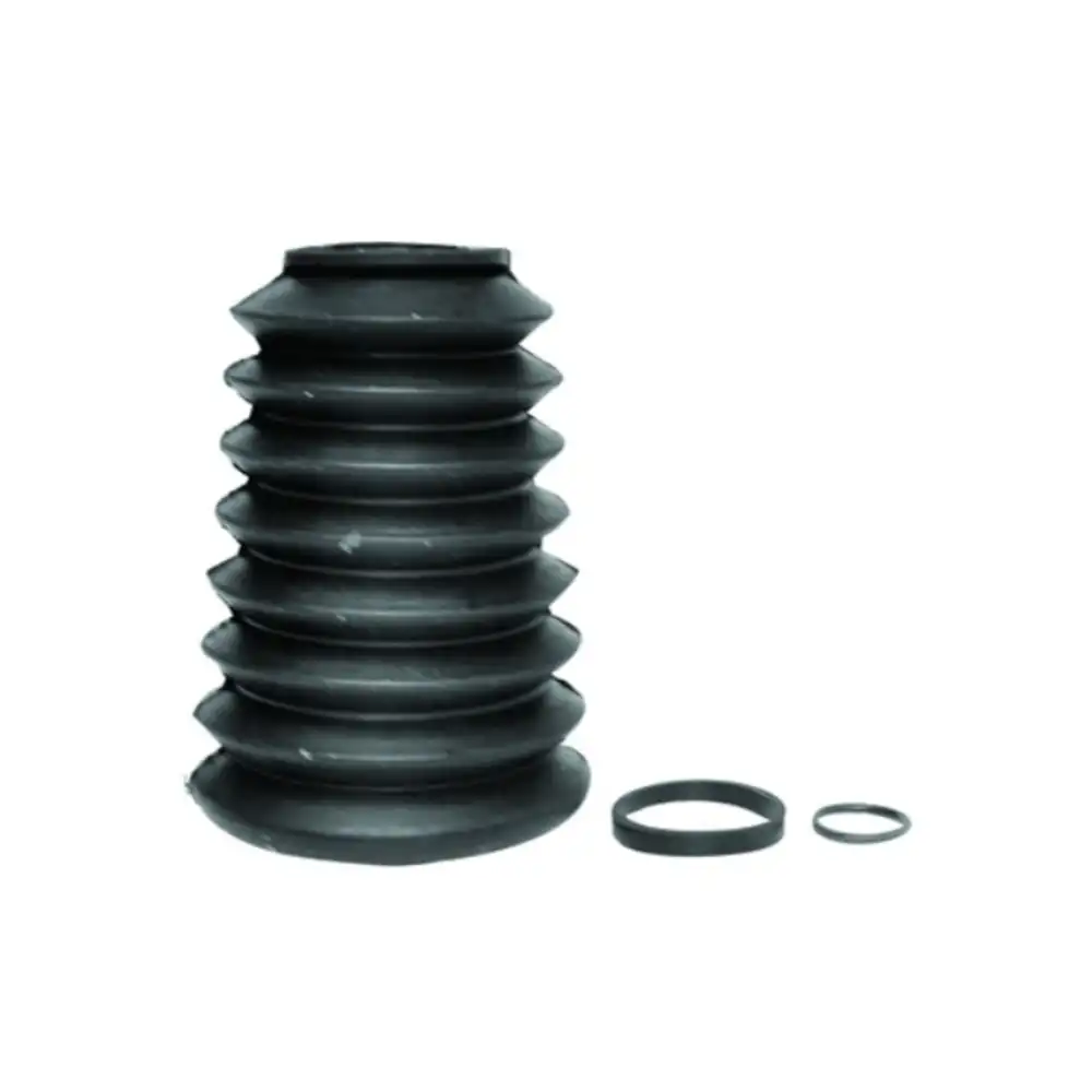 SANFONA SETOR CORCEL DEL REY TODOS