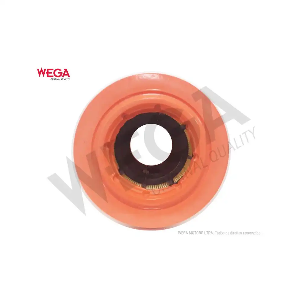 FILTRO AR MOTOR FIAT DUCATO MULTIJET 2.3 16V 2018/ DIESEL