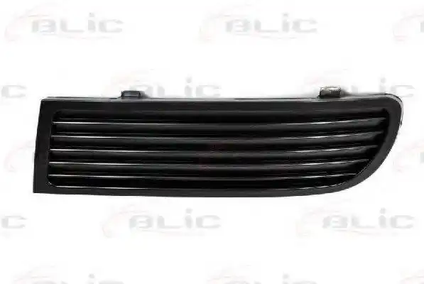 GRADE PARACHOQUE DIANT CORDOBA IBIZA ESQ