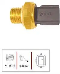 INTER OLEO RENAULT LOGAN SANDERO DUSTER 1.6 8/16V KANGOO