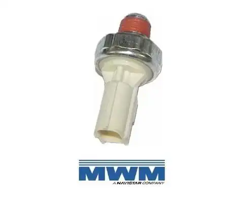 INTER OLEO F-250 MOTOR MWM 6.07TCA