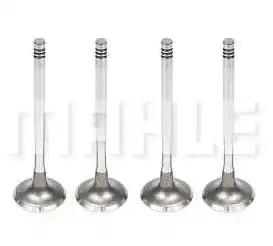 VALVULA ESCAPE ESCORT ZETEC 1.8 16V