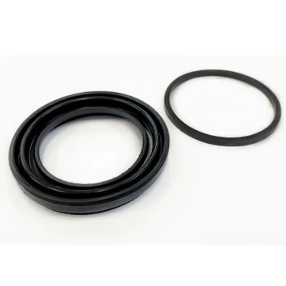 REPARO PINCA FREIO RENAULT DUSTER  2.0 16V 2001 A 2015