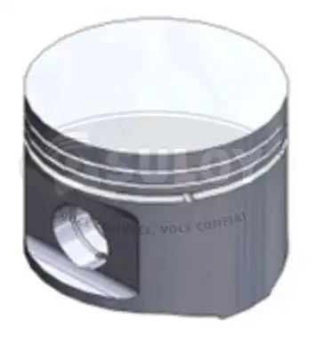 PISTAO ANEL CHEVETTE 1.0 JUNIOR 92/ GAS 0,50