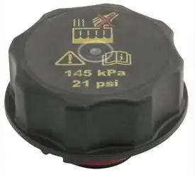 TAMPA RESERV.DAGUA RADIADOR FOCUS 09/ FUSION ECOSPORT 13/