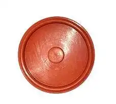 DIAFRAGMA ANTI CHAMA BMW X1 2006 A 2012 MOTOR M52  84MM