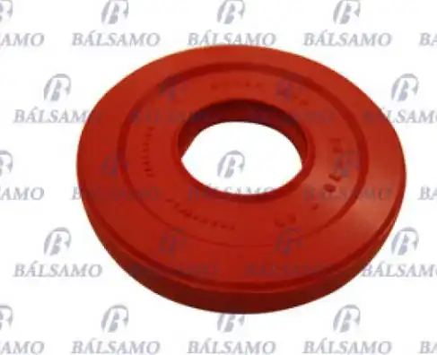 RETENTOR LATERAL RENAULT SCENIC 8V