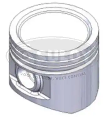 PISTAO ANEL CHEVETTE 1.6 /82 GAS 1,00