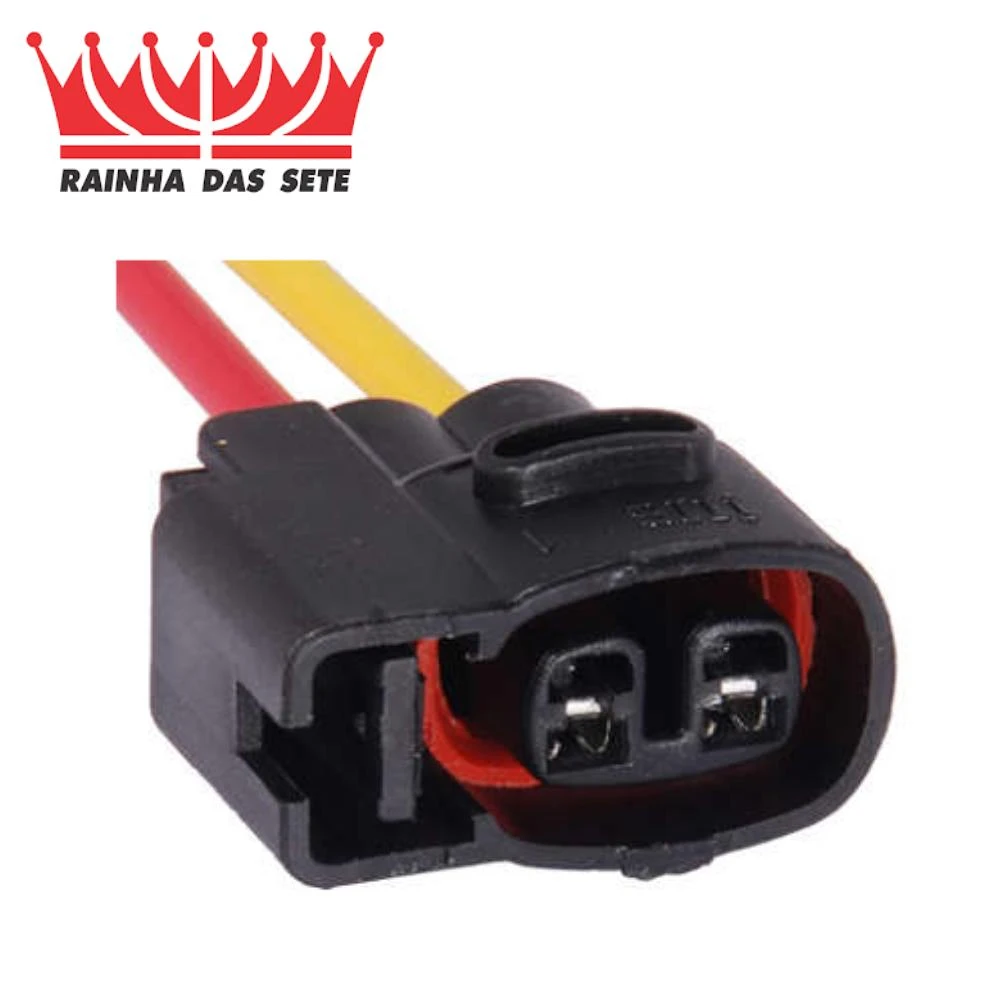 CHICOTE BOBINA RENUALT 2 VIAS