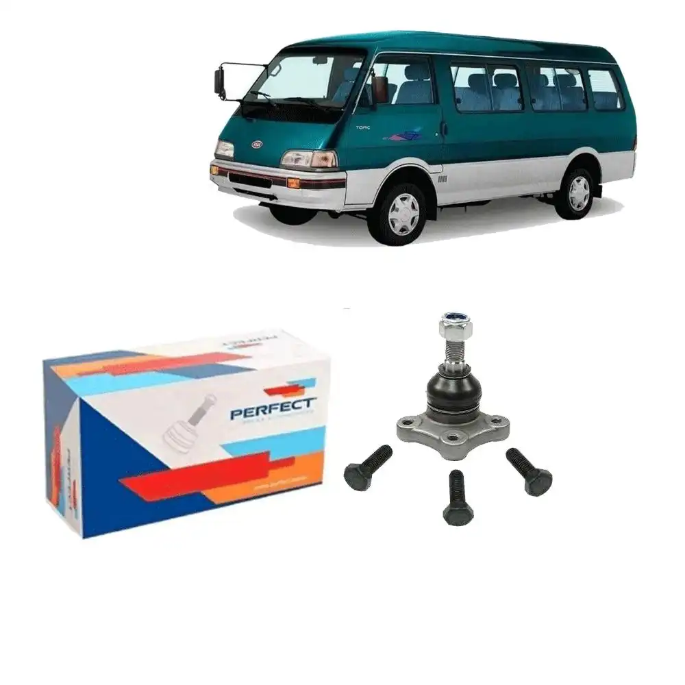 PIVO ASIA TOPIC 1993 A 2008 INFERIOR