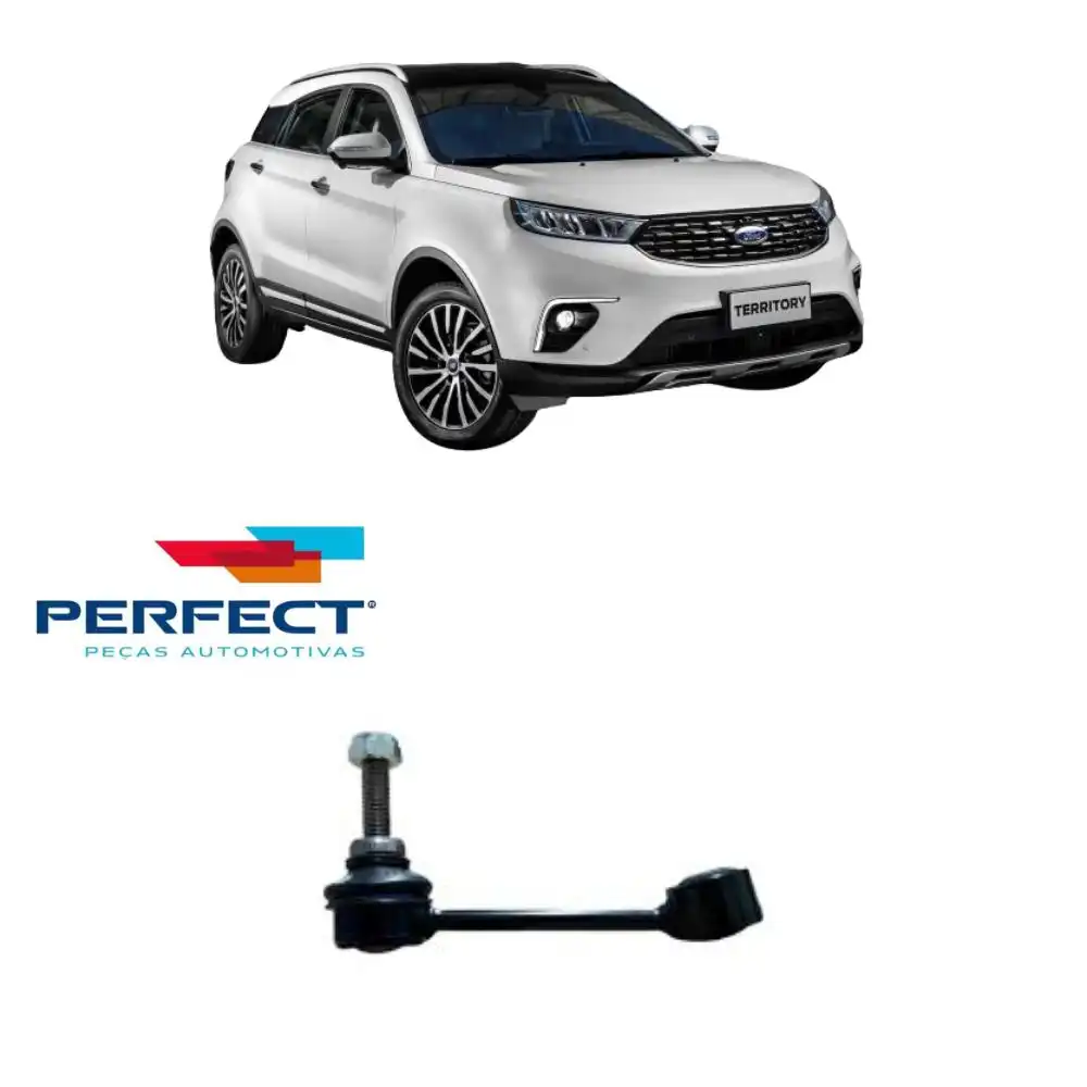 BIELETA TRASEIRA TERRITORY 2020 A 2021