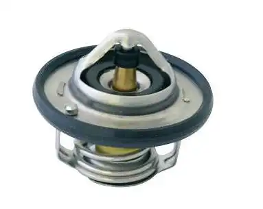 VALVULA TERMOSTATICA RENAULT FLUENCE 2.0 16V 2011 A 2019 PRI