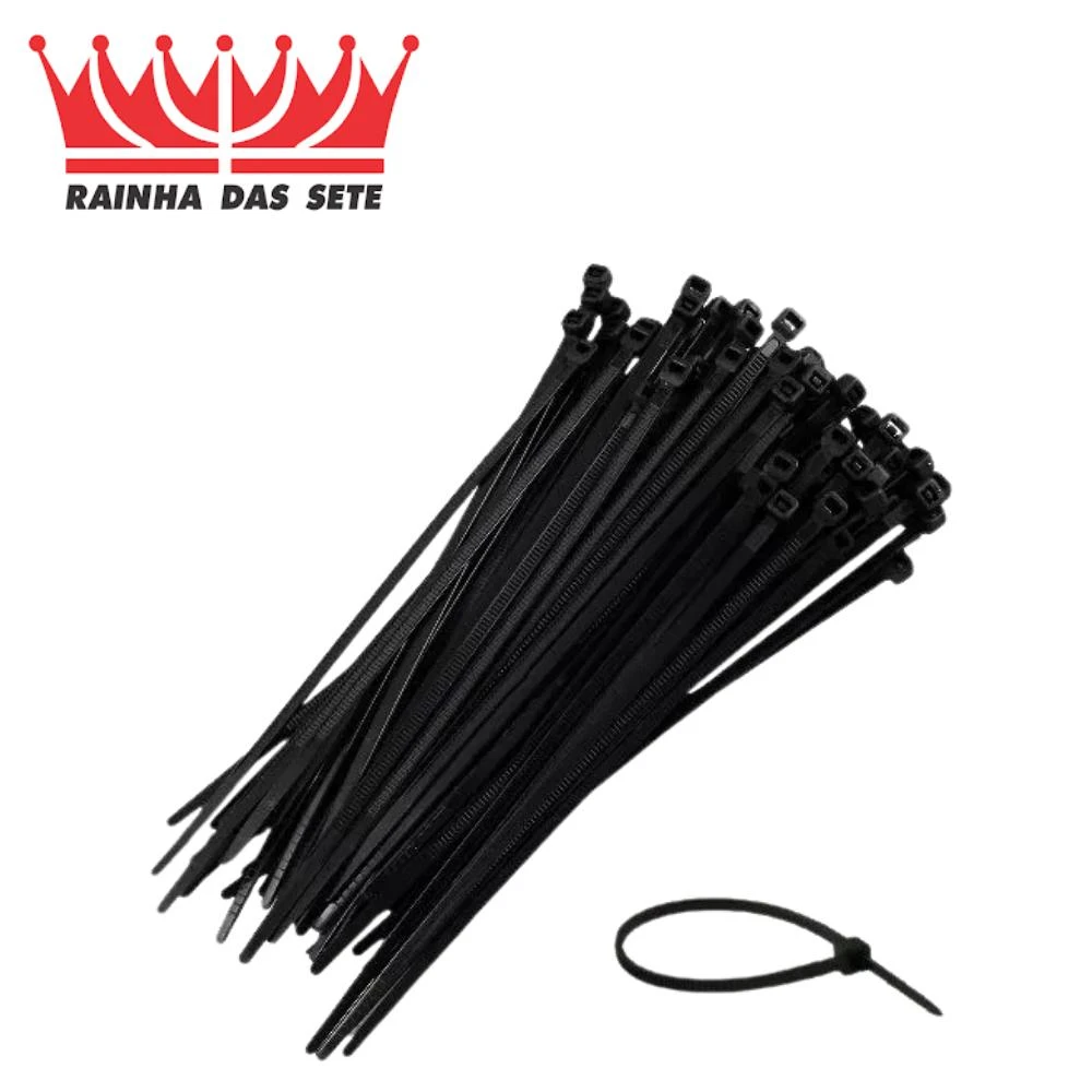 ABRACADEIRA PLASTICA MEDIA 30CM COM 10 PECAS