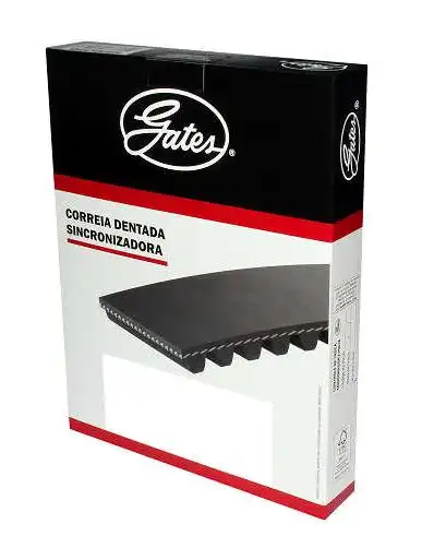 CORREIA COM RENAULT SCENIC 2.0 16V 2000 A 2003