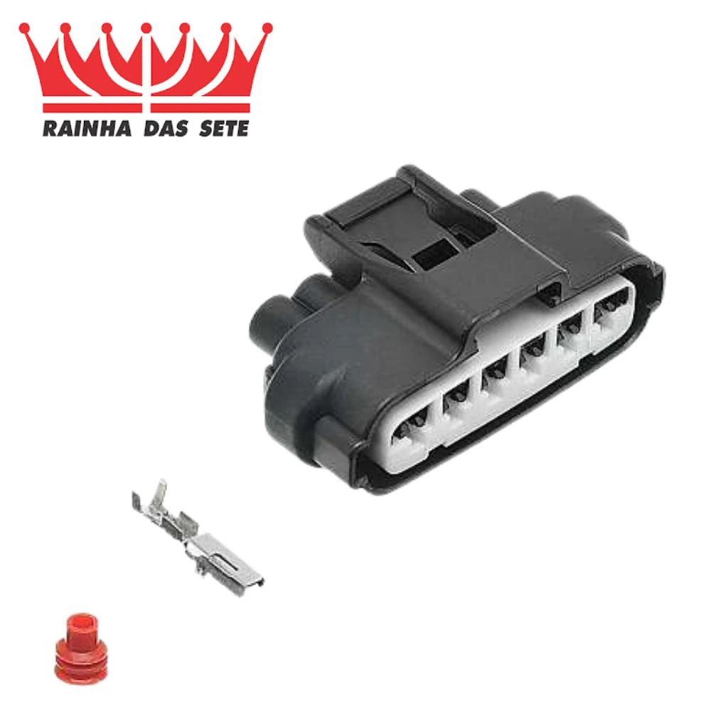 REPARO CHICOTE 6 VIAS