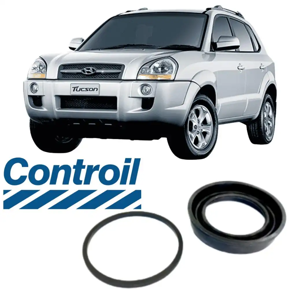 REPARO PINCA FREIO TUCSON 2.0 16V 2006 A 2016