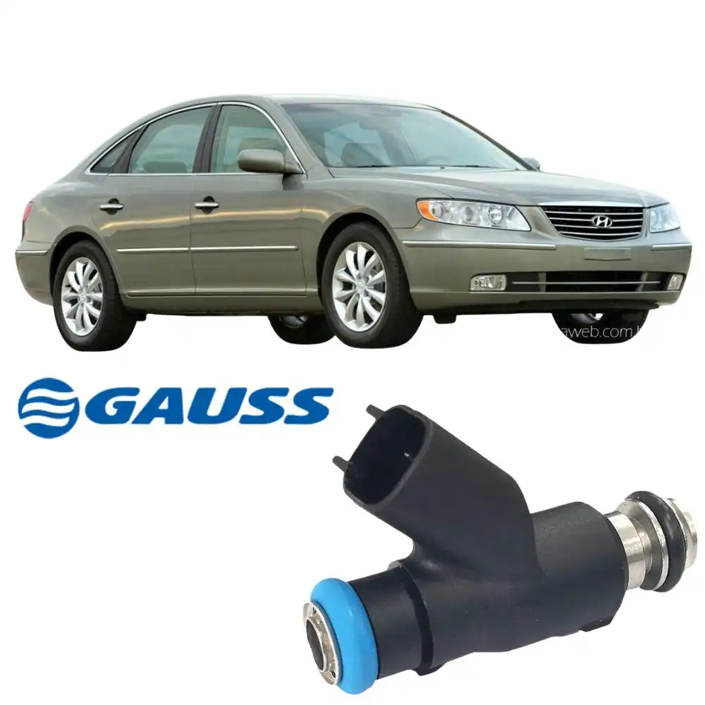 BICO INJ HYUNDAI AZERA 3.3 3.8 2008 A 2011 (AZUL)