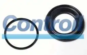 REPARO PINCA FREIO GOL 1.8, SANTANA FIAT ELBA  PALIO 97/98