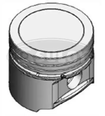 PISTAO S/ ANEL PEUGEOT 206 1.6 16V 207 307 0,50
