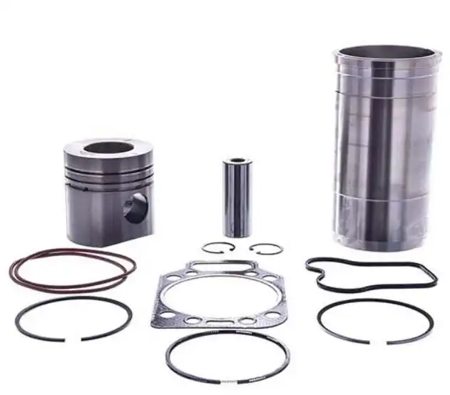 KITS F-1000 MWM D229 ASPIRADO STD