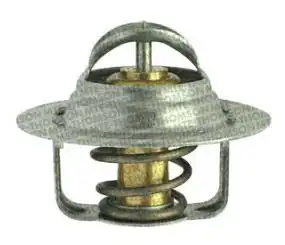 VALVULA TERMOSTATICA GOLF 1.6 1.8 1999/