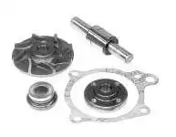 REPARO BOMBA DAGUA OPALA