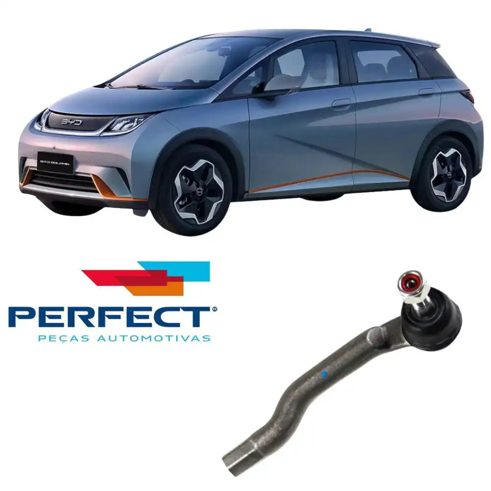 PONTEIRA DIRECAO DOLPHIN 2024 A 2025 DIREITA