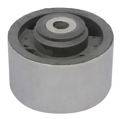 BUCHA CALCO CAIXA PEUGEOT 206 306  405 CITROEN XSARA (65MM)