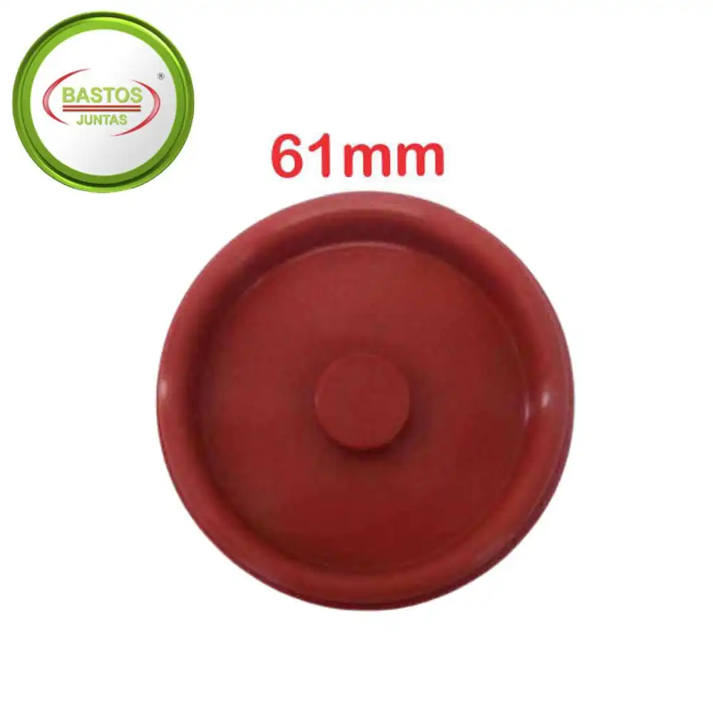 DIAFRAGMA ANTI CHAMA BMW 320I 2.0 16V 2006 A 2015 61MM