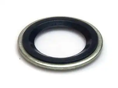 ARRUELA BUJAO CARTER PEUGEOT 206 2005 ACIMA