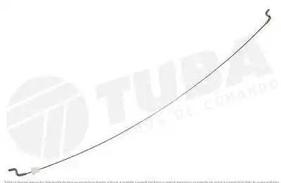 ESPIA BANCO CORCEL II DEL REY EXT