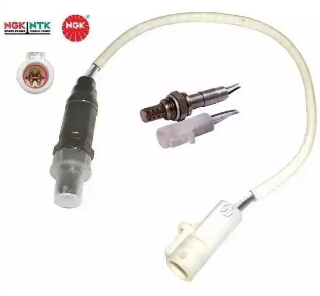 SONDA LAMBDA GOL AE 1.0 LOGUS POINTER /96 ESCORT VERONA