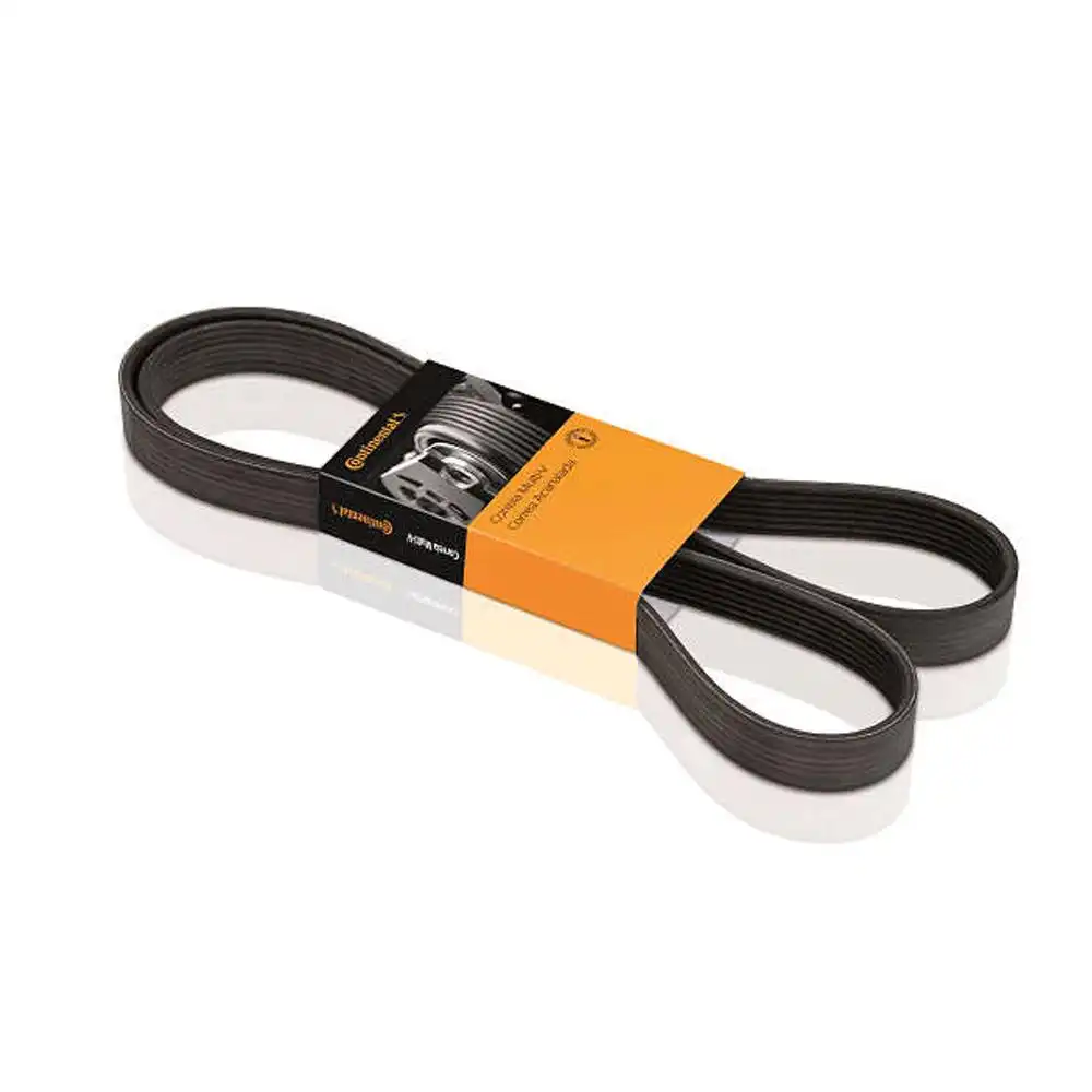 CORREIA ALT FOCUS 1.6 SIGMA 11/ ELASTICA