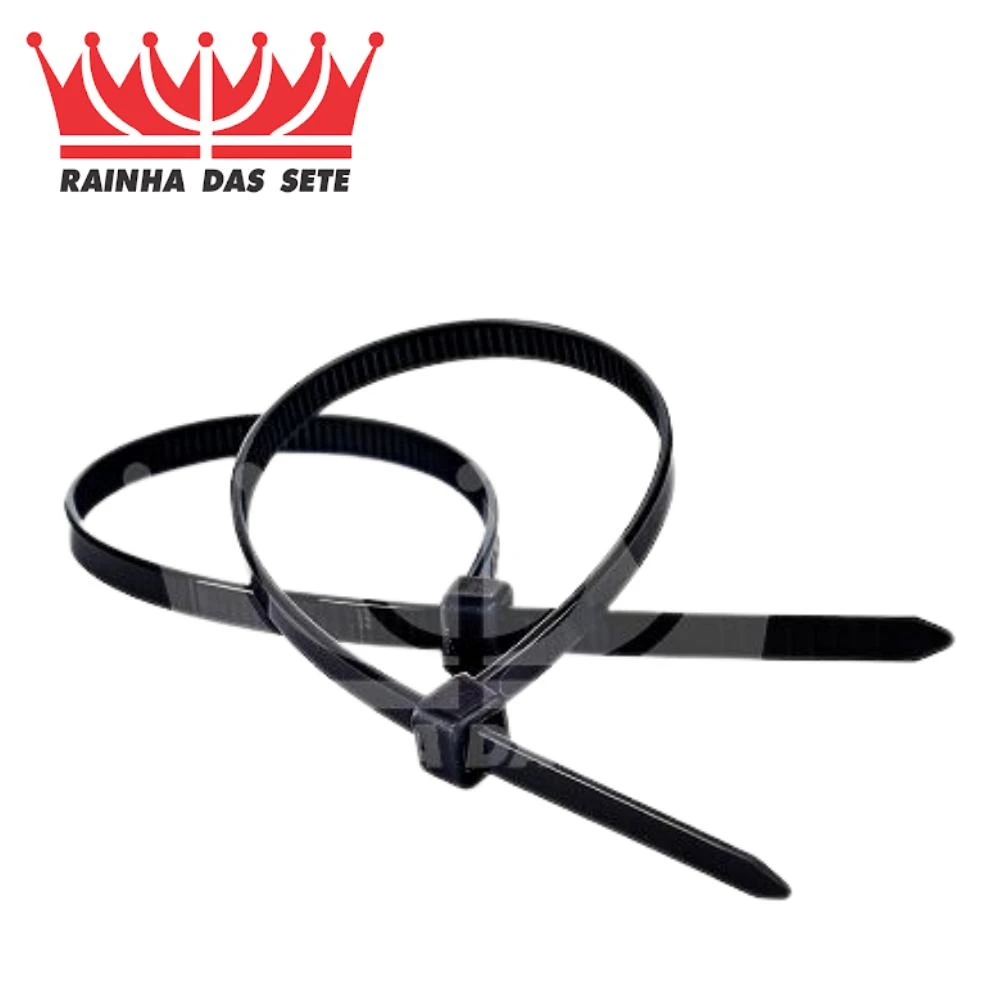ABRACADEIRA PLASTICA MEDIA 24,5CM COM 10 PECAS