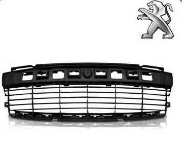 GRADE PARACHOQUE PEUGEOT 207 09/ (CENTRAL) PRETO