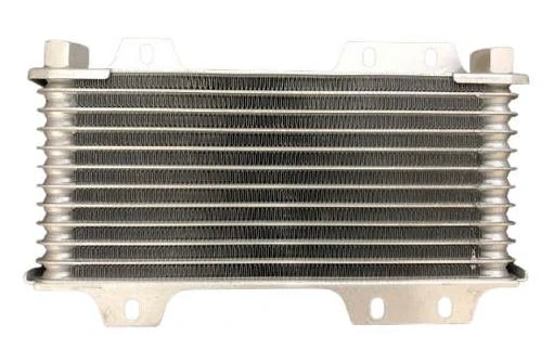 RADIADOR OLEO L200 2.5 2002