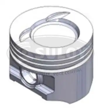 PISTAO S/ANEL ESCORT CHT 1.6 GAS 050