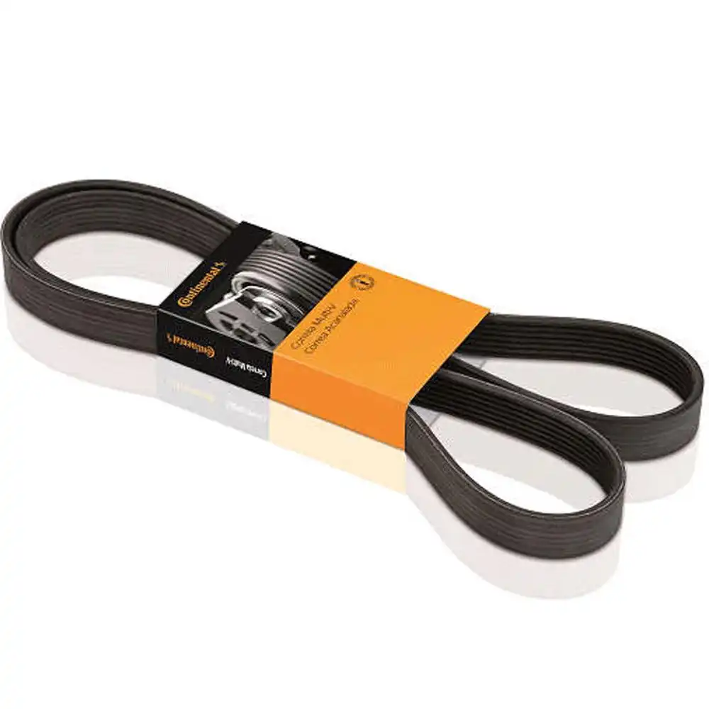 CORREIA ALT FOCUS 1.6 04/ ECOSPORT 1.6 2.0 16V 03/