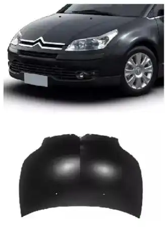 CAPO CITROEN C4 PALLAS 06/