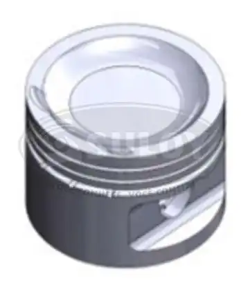 PISTAO S/ANEL VECTRA 2.2 16V 98/ 0,50