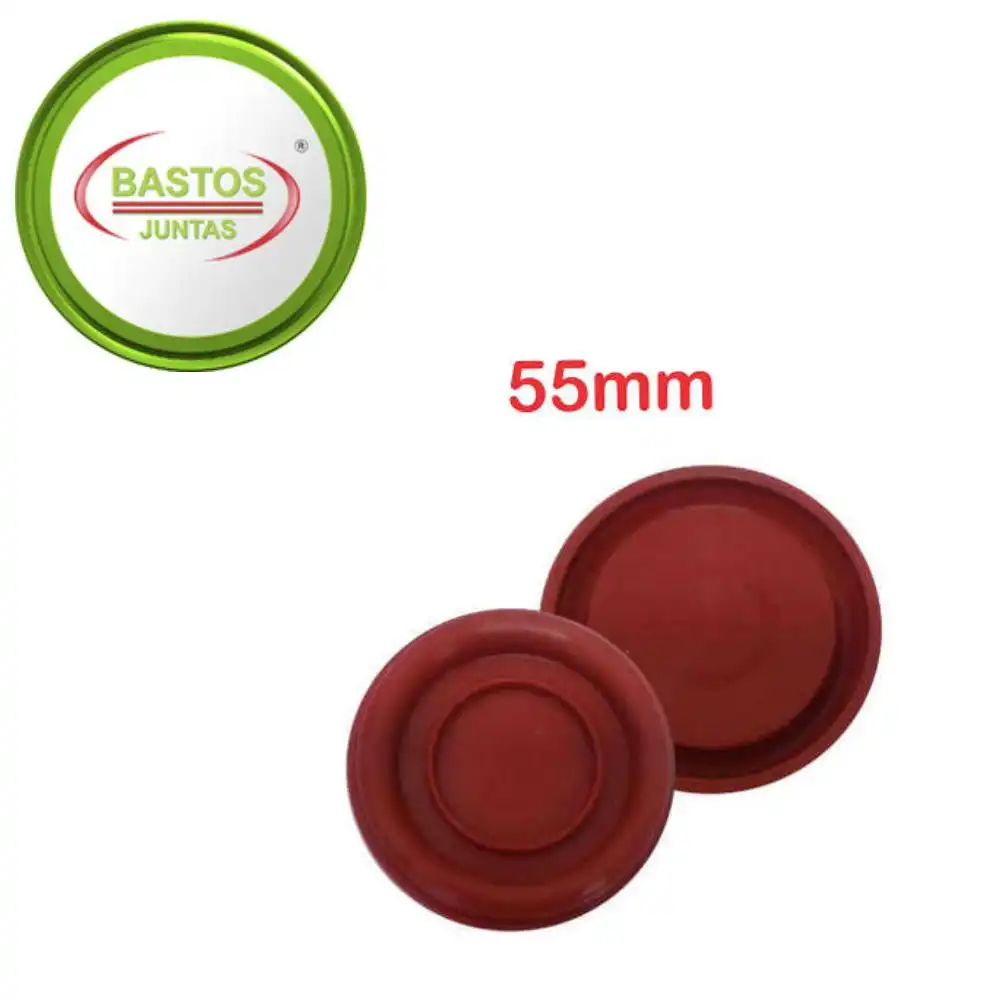 DIAFRAGMA FOCUS 2.0 16V 2005 A 2012 55MM